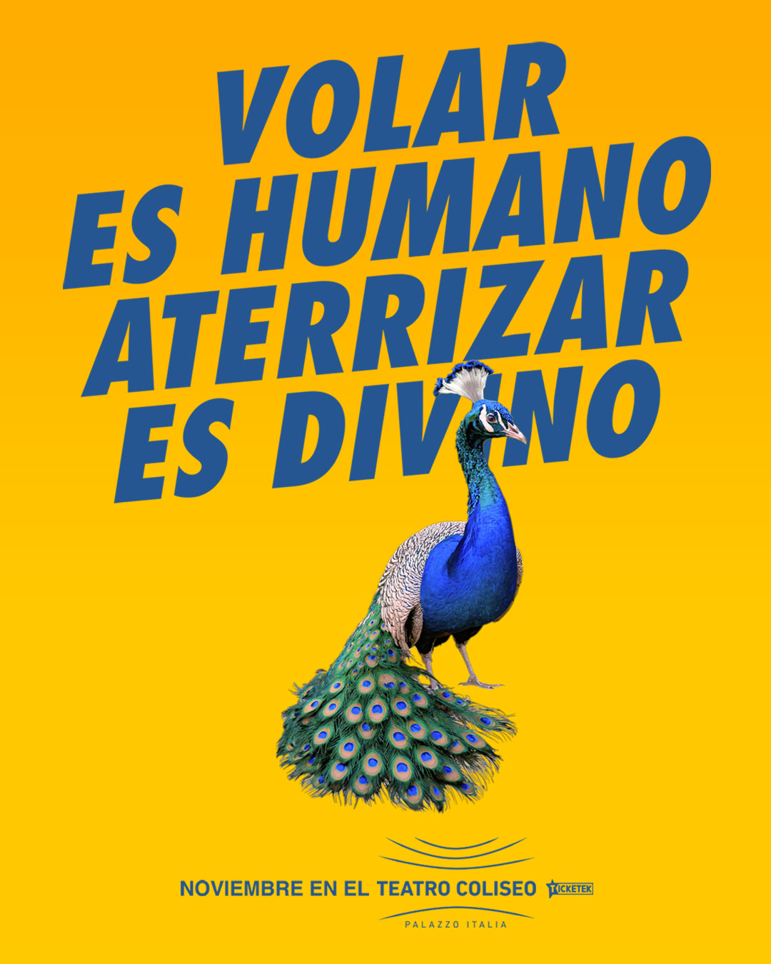 VHAD_2025_PAVO_1080X1350_flyer posteo ig
